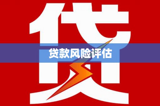 旅顺口贷款风险评估