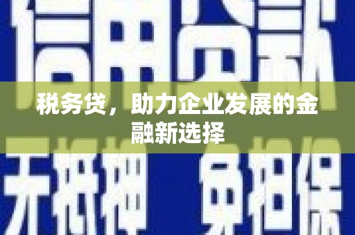 旅顺口税务贷，助力企业发展的金融新选择