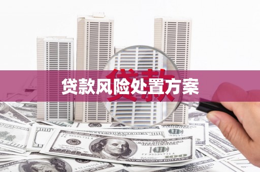 旅顺口贷款风险处置方案
