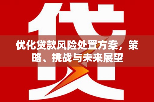 旅顺口优化贷款风险处置方案，策略、挑战与未来展望
