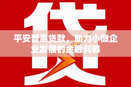 旅顺口平安普惠贷款，助力小微企业发展的金融利器