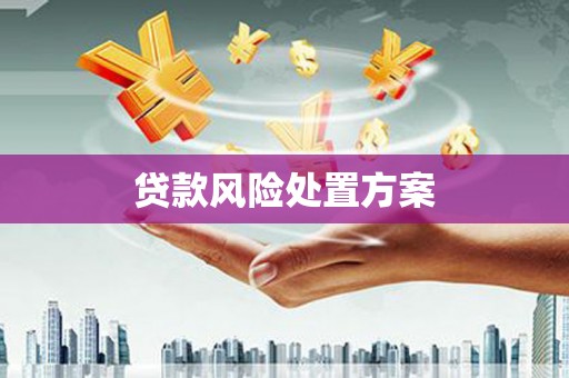 旅顺口贷款风险处置方案