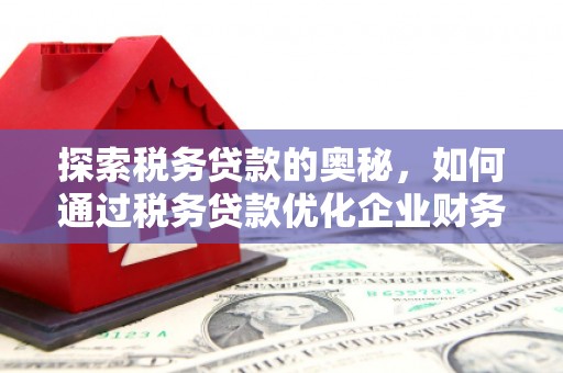 旅顺口探索税务贷款的奥秘，如何通过税务贷款优化企业财务