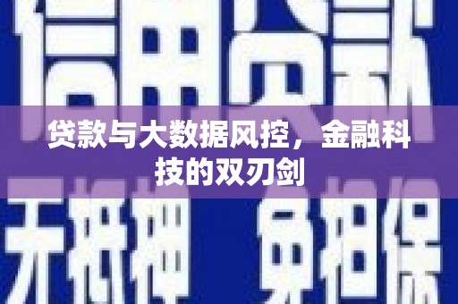 旅顺口贷款与大数据风控，金融科技的双刃剑