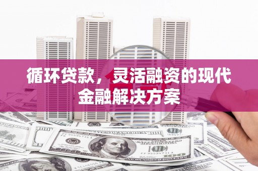 旅顺口循环贷款，灵活融资的现代金融解决方案