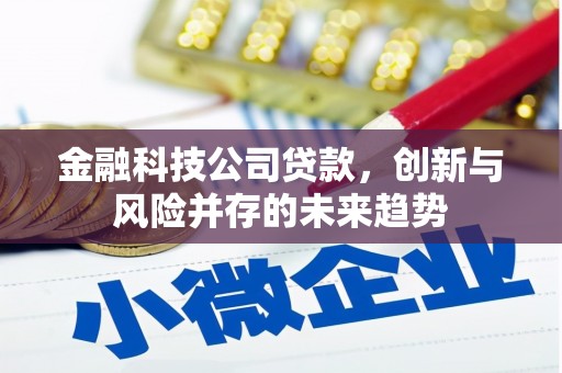 旅顺口金融科技公司贷款，创新与风险并存的未来趋势
