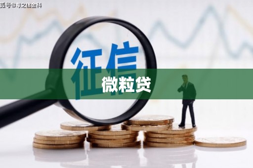旅顺口微粒贷