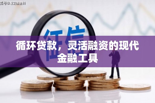 旅顺口循环贷款，灵活融资的现代金融工具