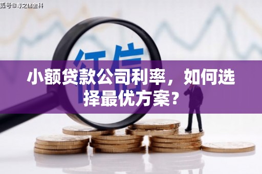 旅顺口小额贷款公司利率，如何选择最优方案？