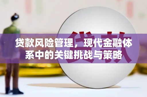 旅顺口贷款风险管理，现代金融体系中的关键挑战与策略