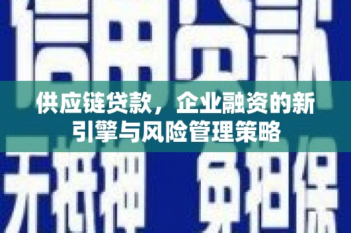 旅顺口供应链贷款，企业融资的新引擎与风险管理策略