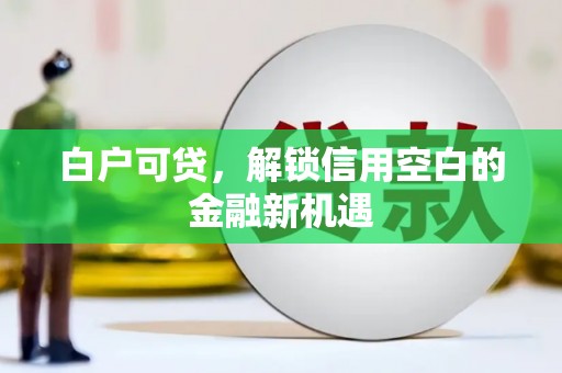 旅顺口白户可贷，解锁信用空白的金融新机遇