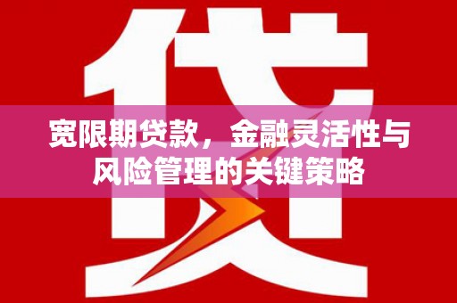 旅顺口宽限期贷款，金融灵活性与风险管理的关键策略