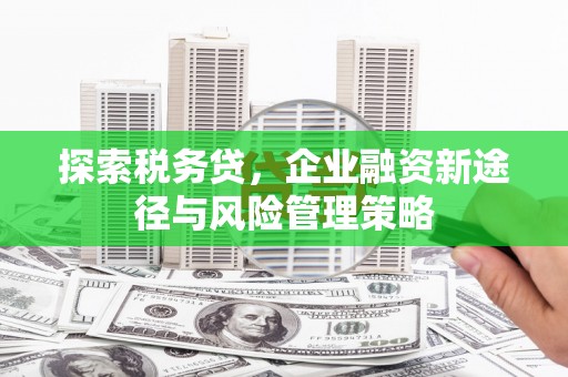 旅顺口探索税务贷，企业融资新途径与风险管理策略