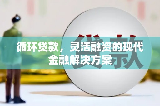 旅顺口循环贷款，灵活融资的现代金融解决方案