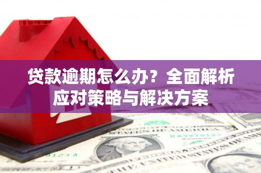 旅顺口贷款逾期怎么办？全面解析应对策略与解决方案