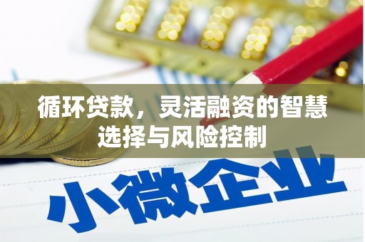 旅顺口循环贷款，灵活融资的智慧选择与风险控制
