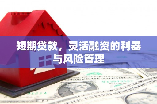 旅顺口短期贷款，灵活融资的利器与风险管理