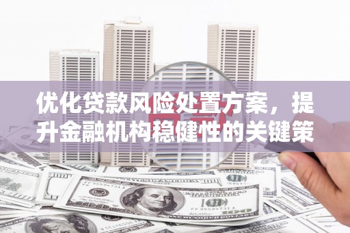 旅顺口优化贷款风险处置方案，提升金融机构稳健性的关键策略