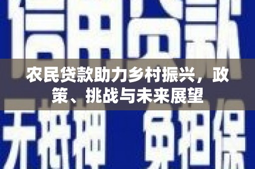 旅顺口农民贷款助力乡村振兴，政策、挑战与未来展望