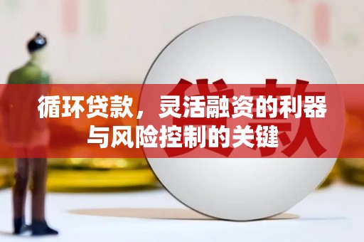 旅顺口循环贷款，灵活融资的利器与风险控制的关键