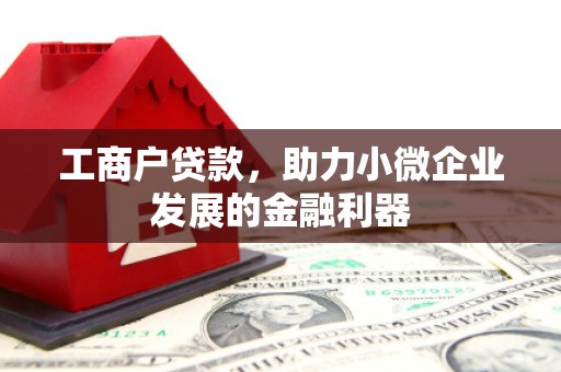 旅顺口工商户贷款，助力小微企业发展的金融利器