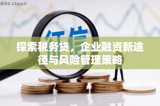 旅顺口探索税务贷，企业融资新途径与风险管理策略