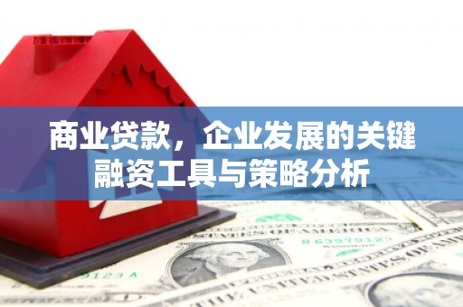 旅顺口商业贷款，企业发展的关键融资工具与策略分析