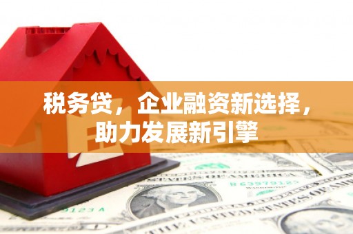 旅顺口税务贷，企业融资新选择，助力发展新引擎