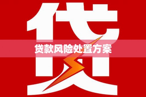 旅顺口贷款风险处置方案