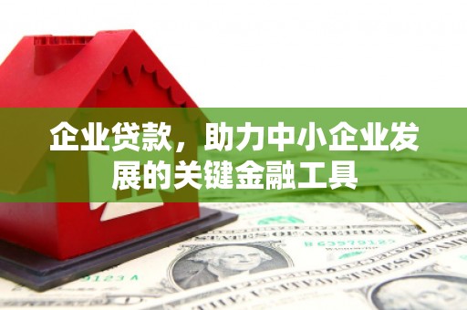 旅顺口企业贷款，助力中小企业发展的关键金融工具