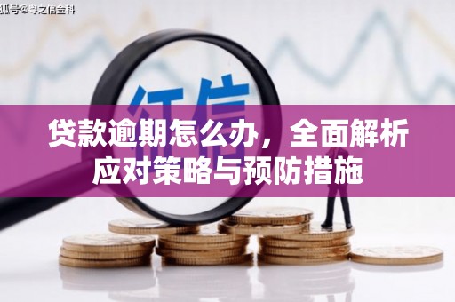 旅顺口贷款逾期怎么办，全面解析应对策略与预防措施