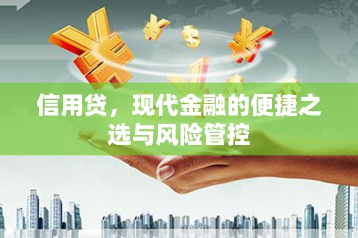 旅顺口信用贷，现代金融的便捷之选与风险管控