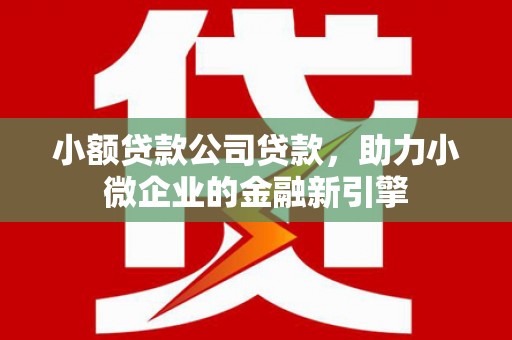 旅顺口小额贷款公司贷款，助力小微企业的金融新引擎