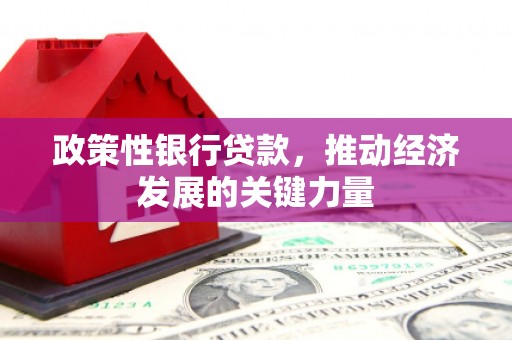 旅顺口政策性银行贷款，推动经济发展的关键力量