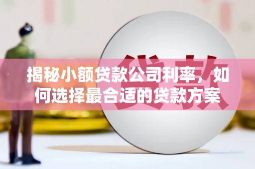 旅顺口揭秘小额贷款公司利率，如何选择最合适的贷款方案
