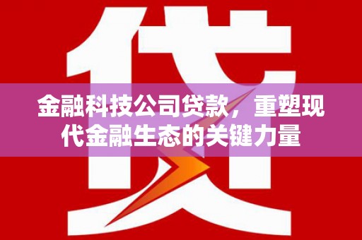 旅顺口金融科技公司贷款，重塑现代金融生态的关键力量