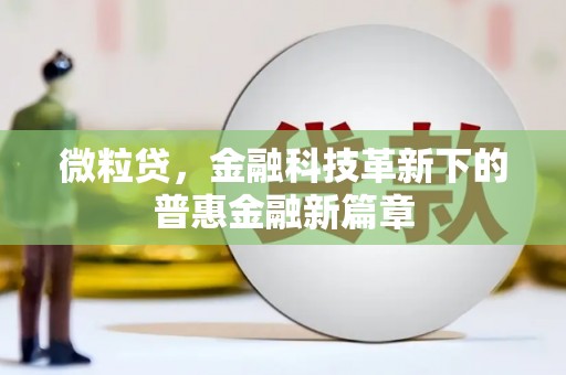 旅顺口微粒贷，金融科技革新下的普惠金融新篇章