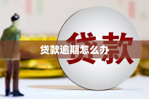 旅顺口贷款逾期怎么办