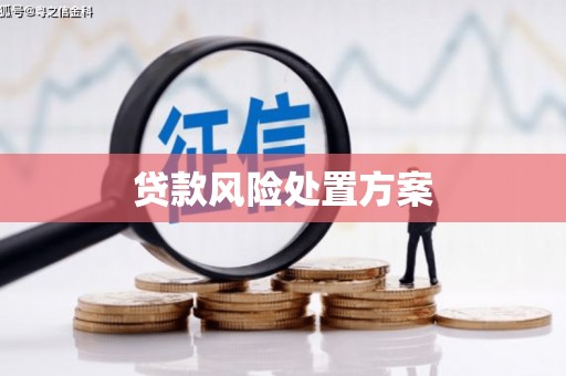 旅顺口贷款风险处置方案