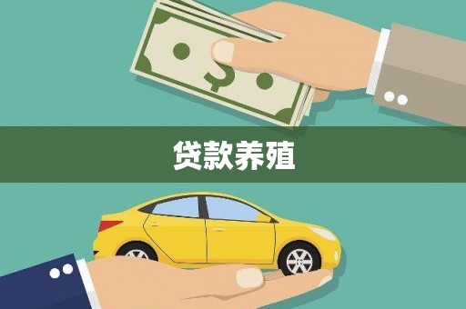 旅顺口贷款养殖