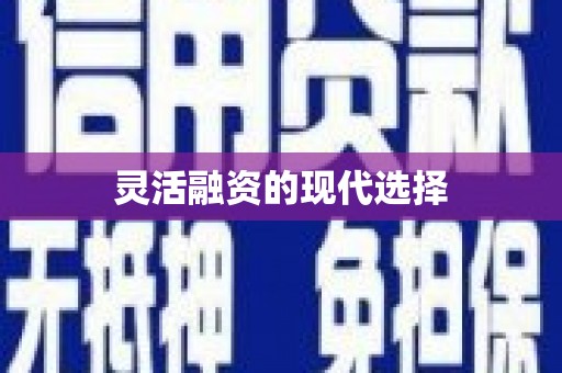 旅顺口灵活融资的现代选择