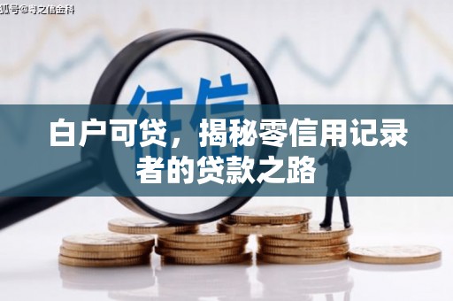 旅顺口白户可贷，揭秘零信用记录者的贷款之路