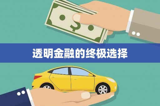 旅顺口透明金融的终极选择