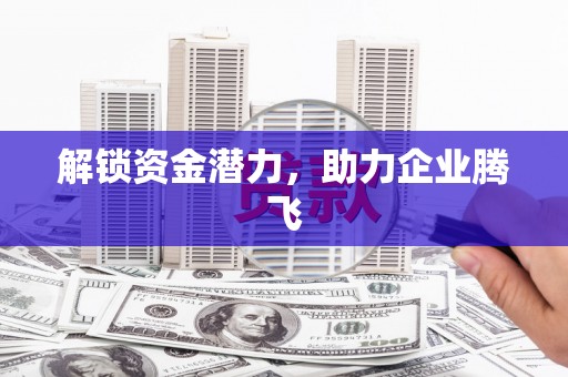 旅顺口解锁资金潜力，助力企业腾飞