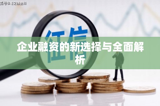 旅顺口企业融资的新选择与全面解析